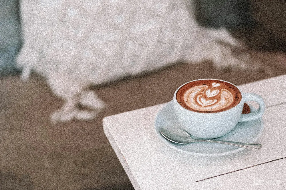 高清摄影 白瓷茶杯