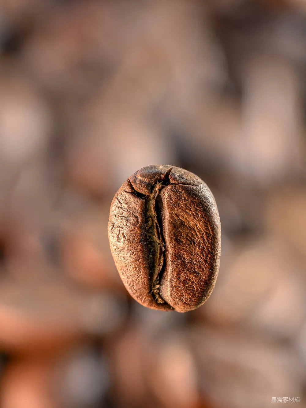 高清摄影 一颗 roasted 咖啡豆 在焦点中漂浮。