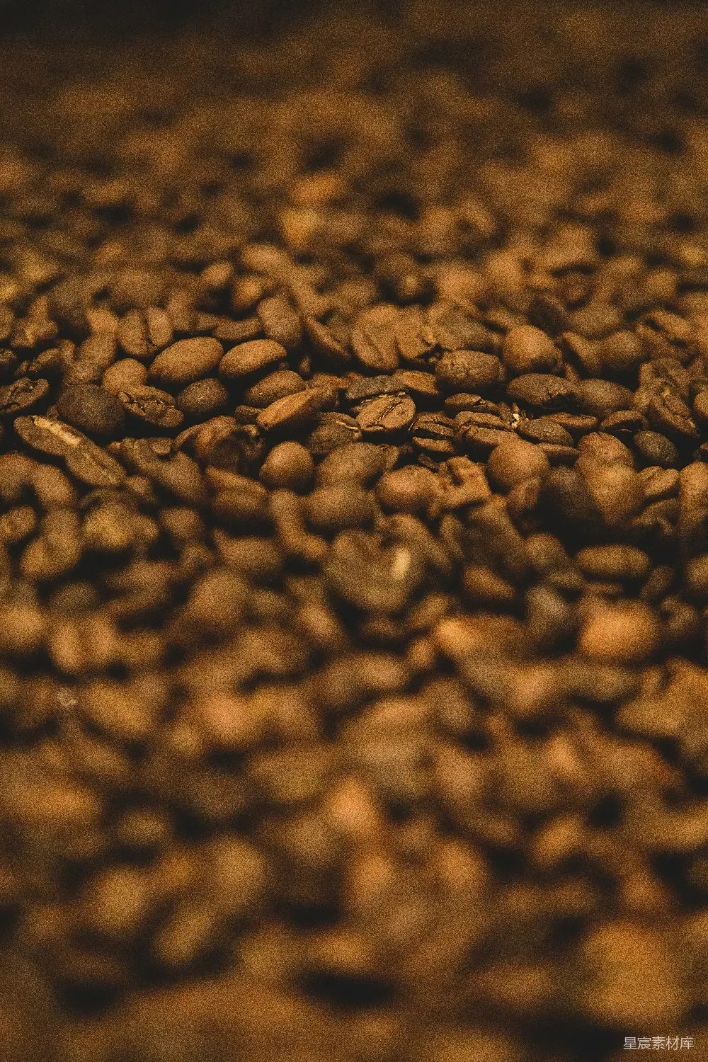 高清摄影  咖啡豆