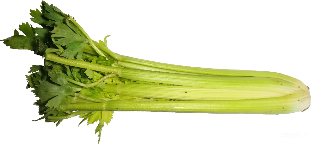 Celery