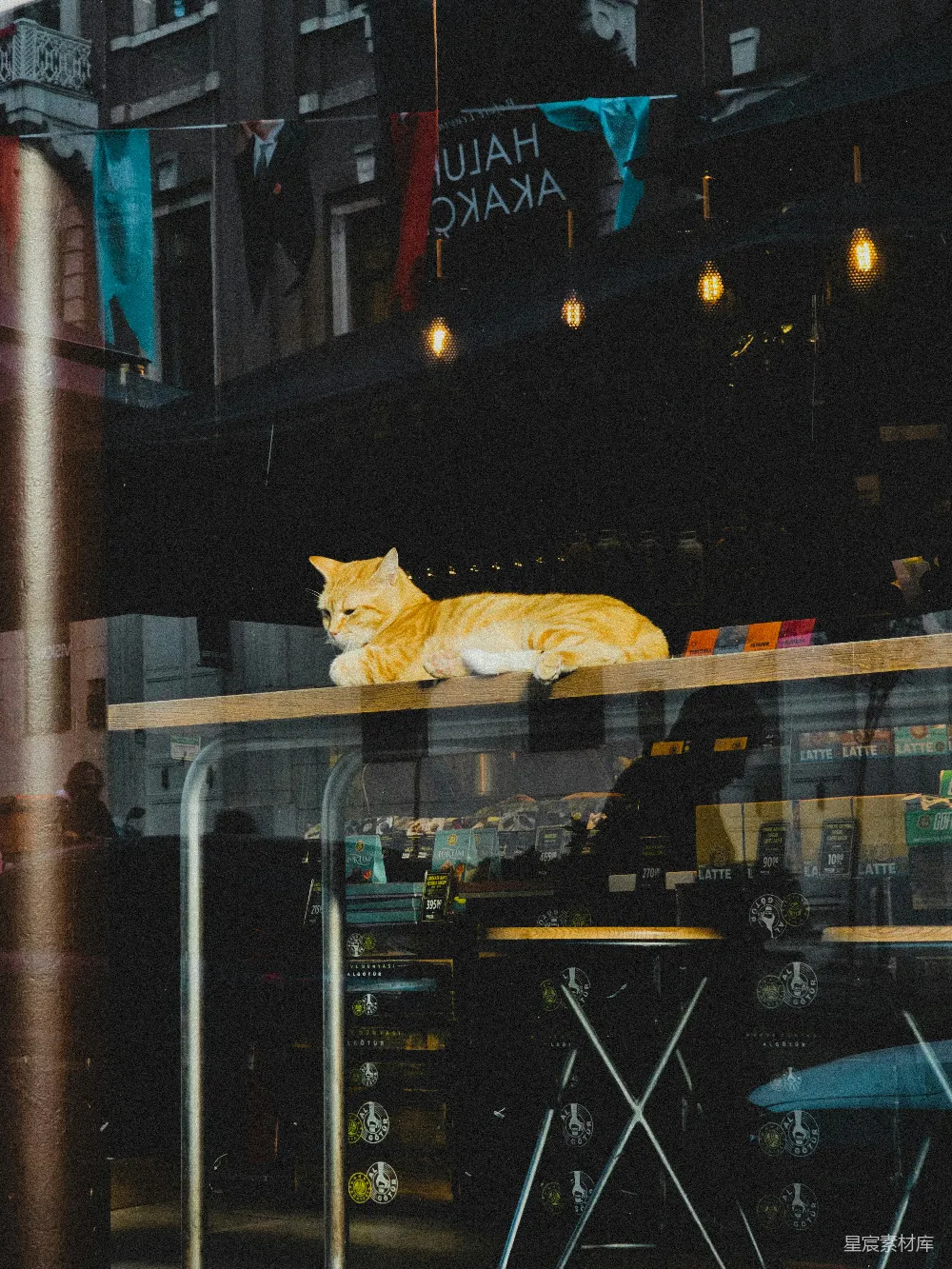 高清摄影 一只黄色的猫躺在一张桌子上。