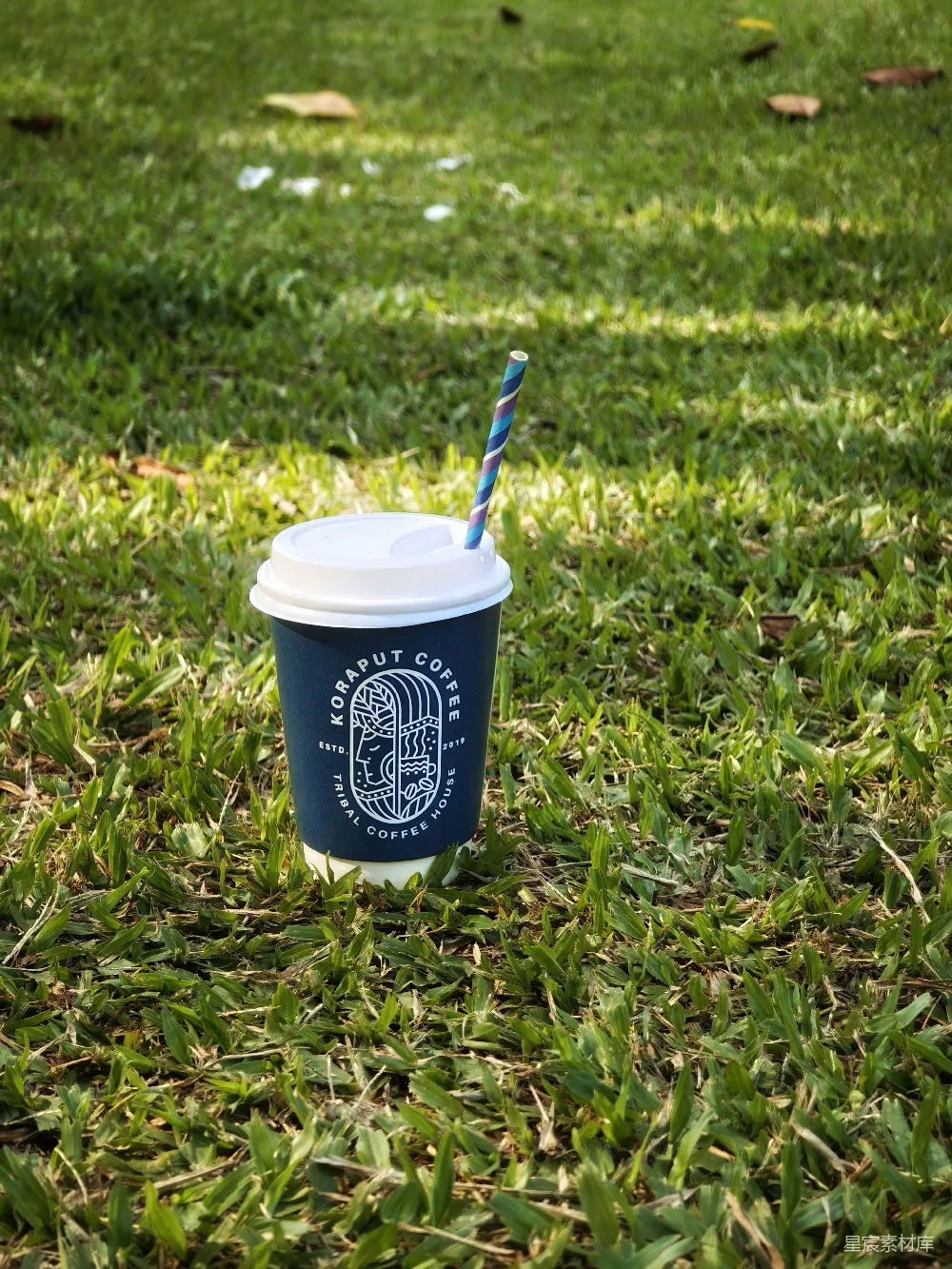 高清摄影 蓝色科罗帕特咖啡杯放在繁茂的绿色草地上。