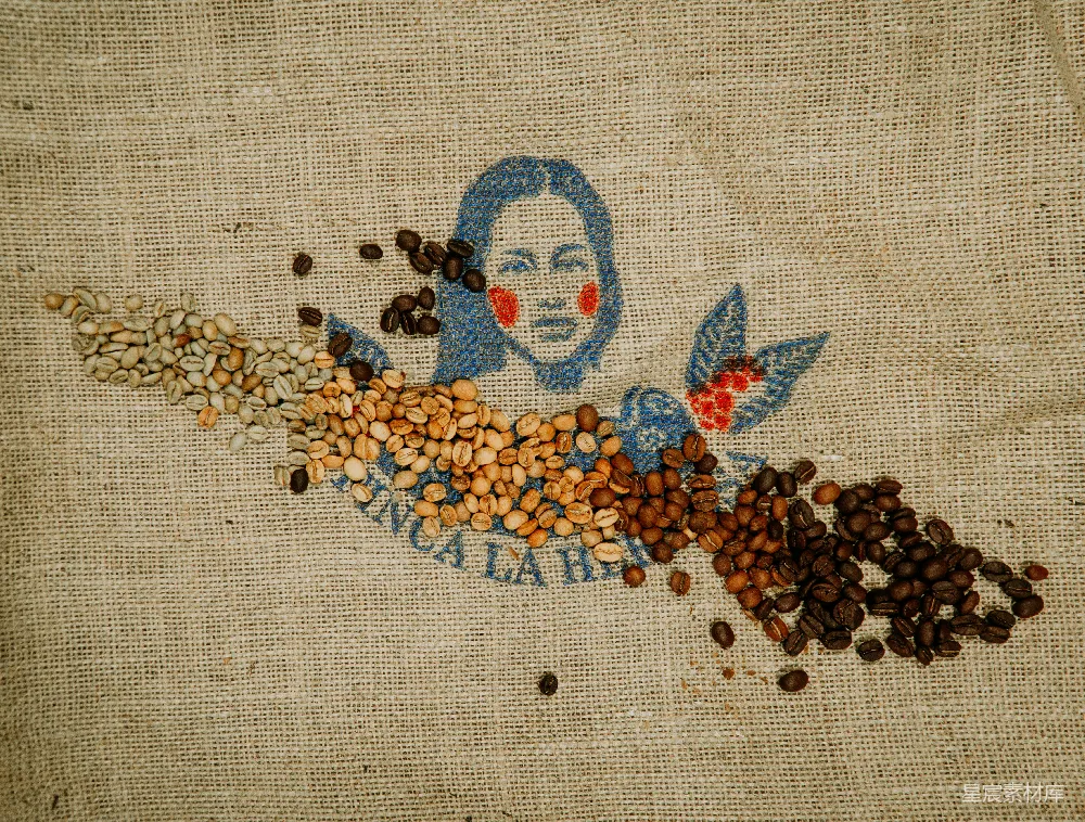 高清摄影  白色与粉色花卉图案的纺织品