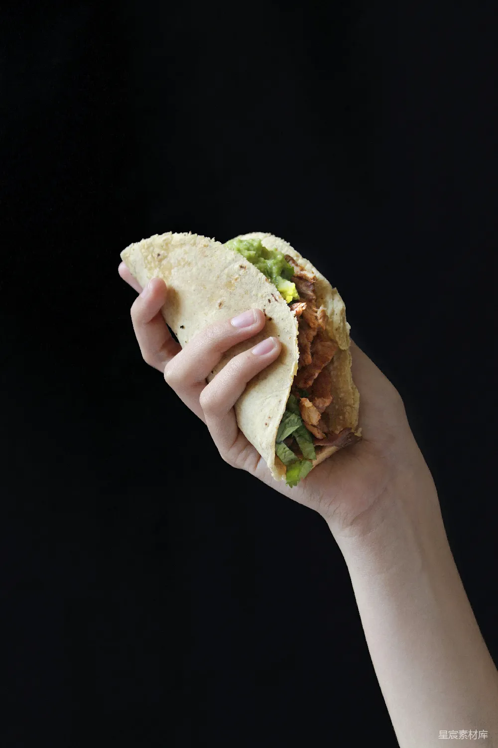 高清摄影  蔬菜卷-TaCo