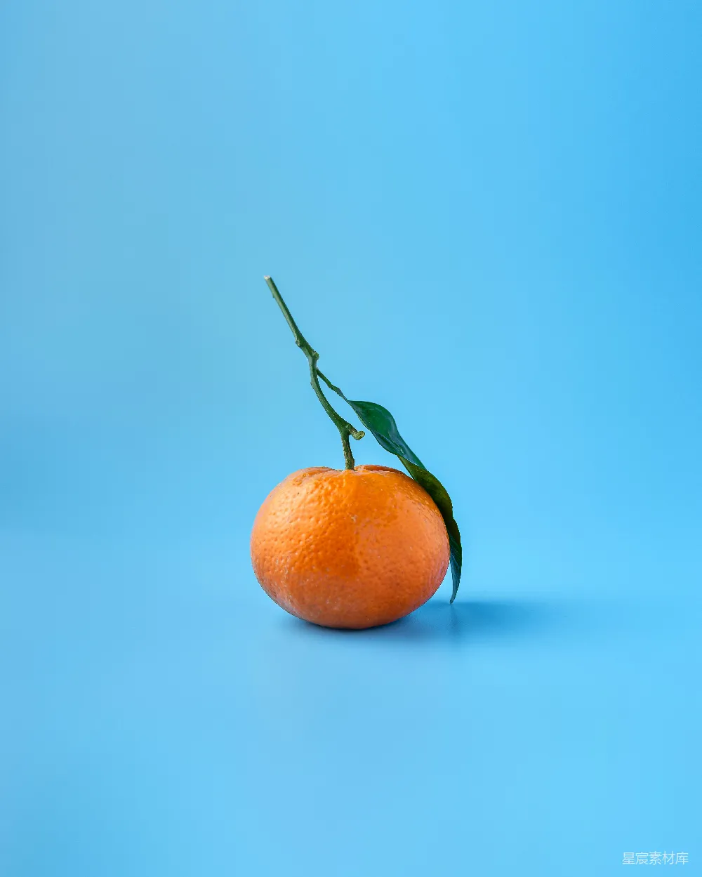 高清摄影  橙色的水果