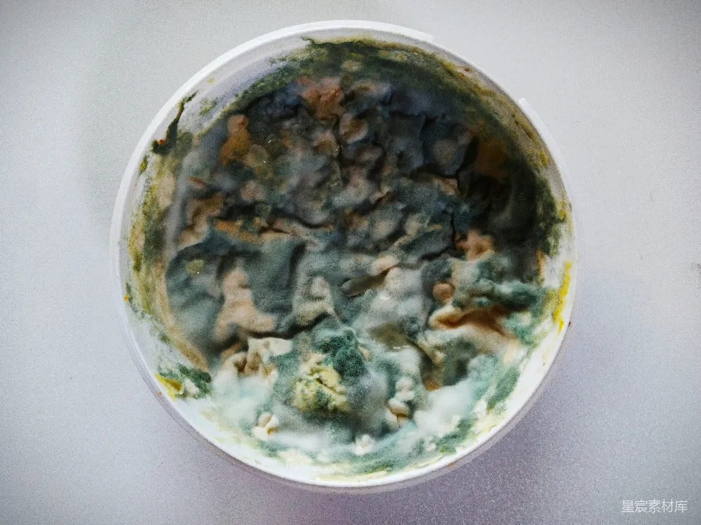 高清摄影 桌上一个装满了食物的白碗