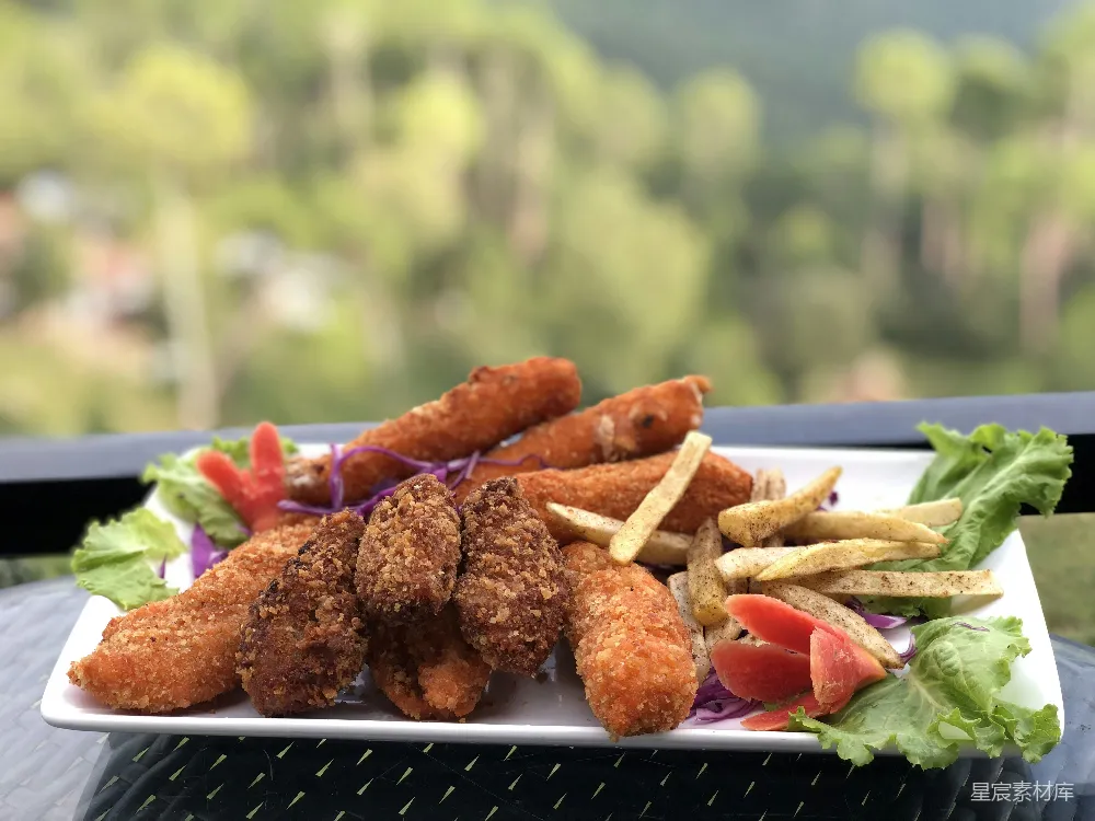 高清摄影 美味的油炸食物放在盘子里。