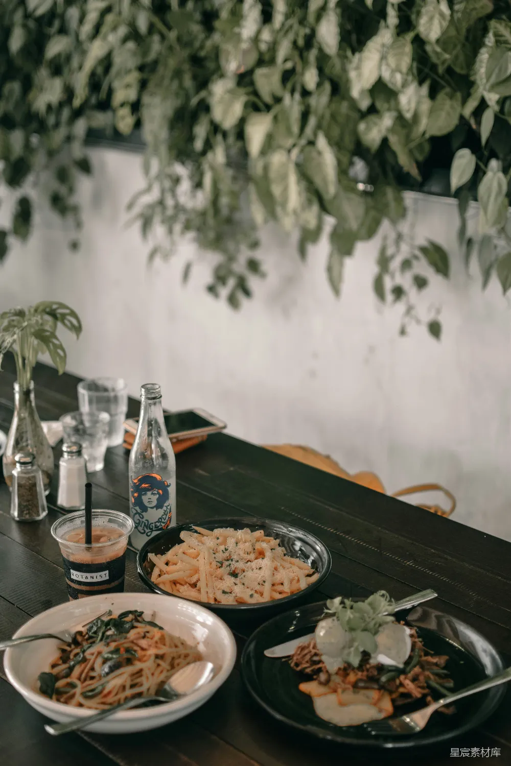 高清摄影 美食 餐厅 植物装饰 餐厅内的美食与植物背景