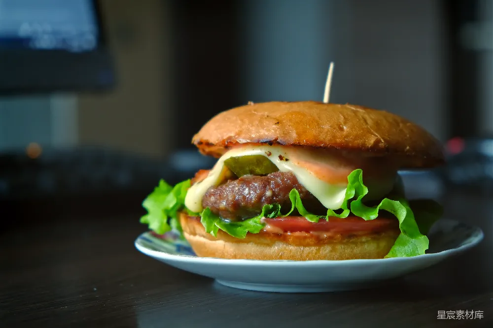 高清摄影  一 hamburger 逼近特写