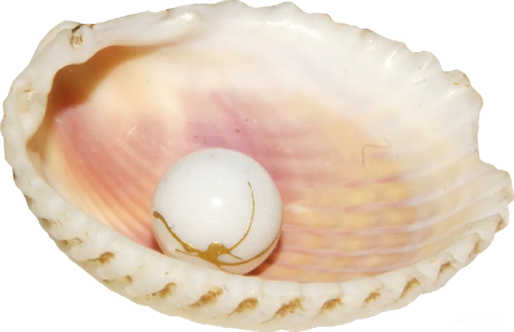 元素素材 贝壳