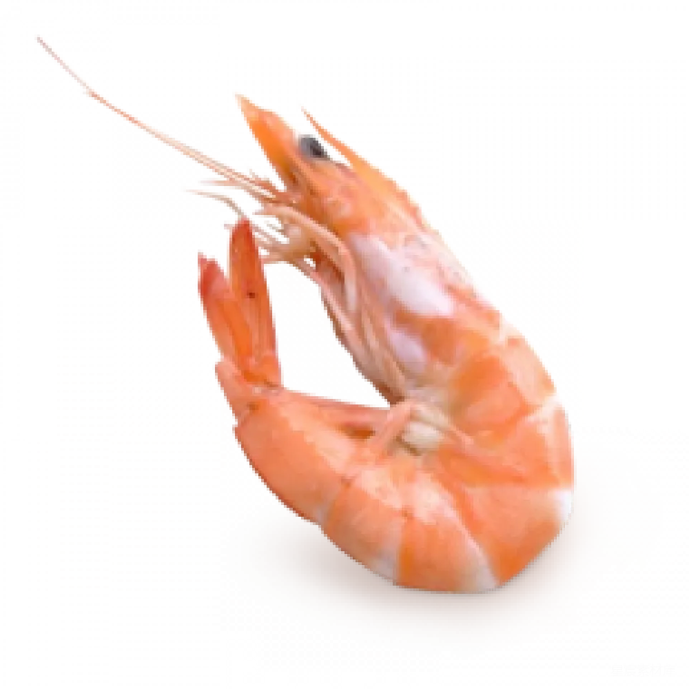 元素素材 元素 虾