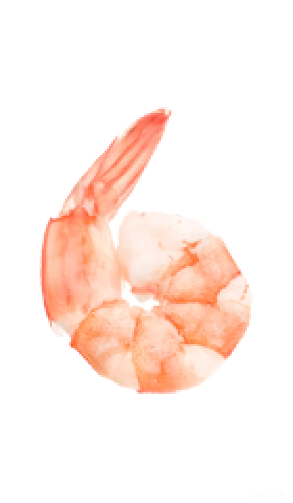元素素材 虾