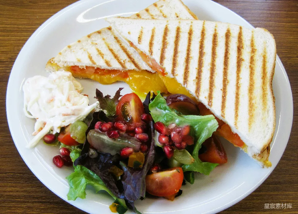 高清摄影 白盘中 grilled sandwich、沙拉和coleslaw。