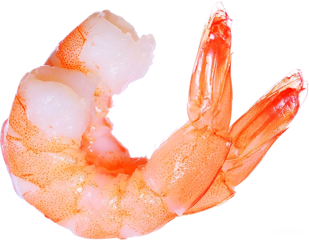 元素素材 虾