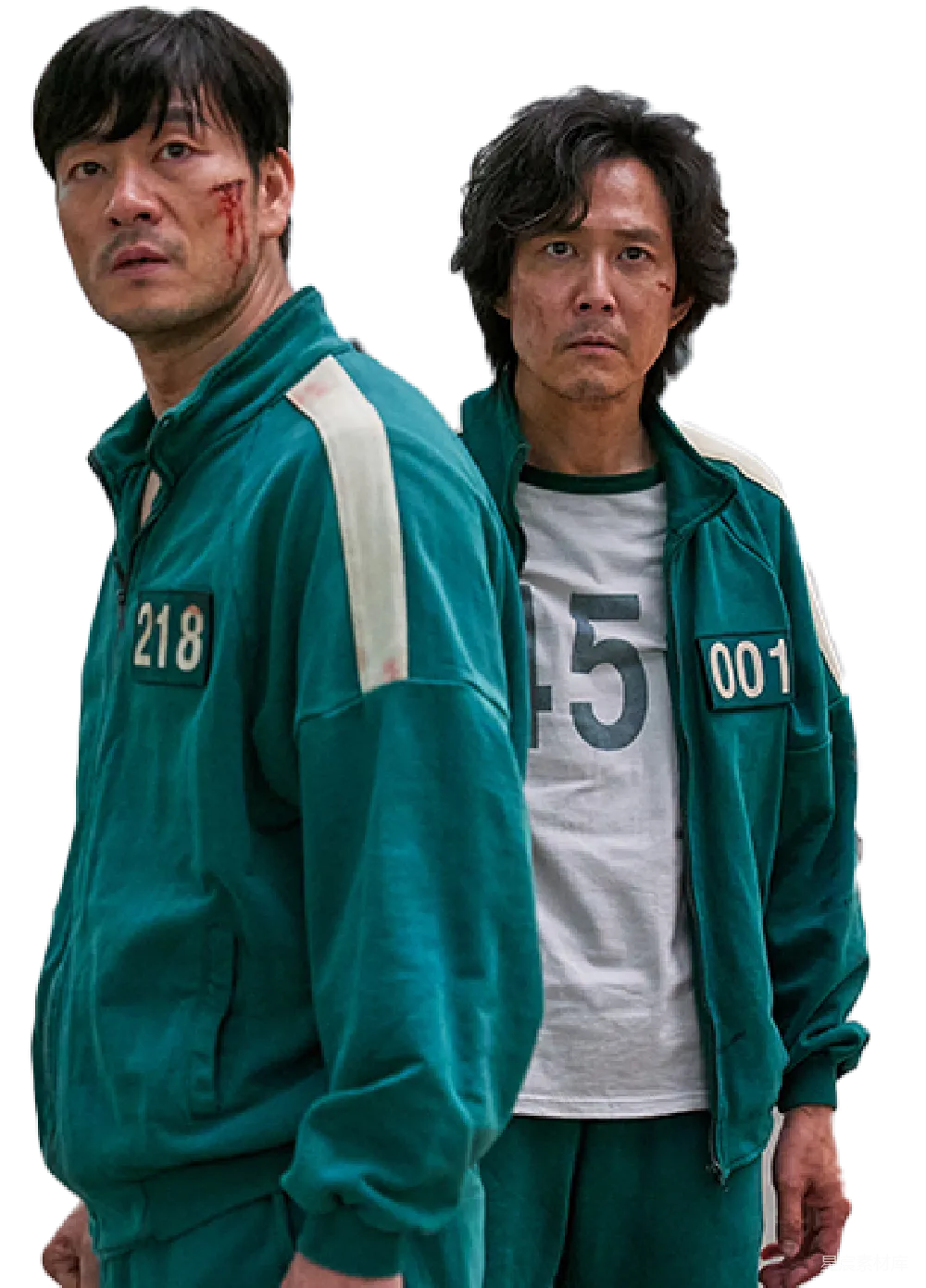 墨鱼