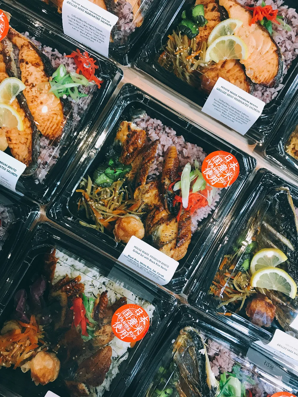 高清摄影 黑色塑料容器中装有各种烹饪食物