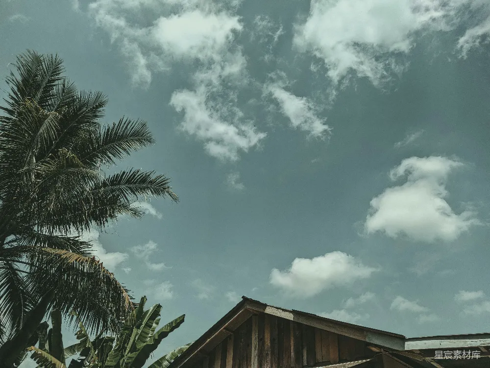 高清摄影  一座有棕榈树和蓝天的建筑