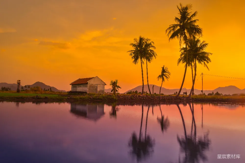 高清摄影 壁纸 自然 旅行 夕阳西下，棕榈树倒映在水中，景色美丽。