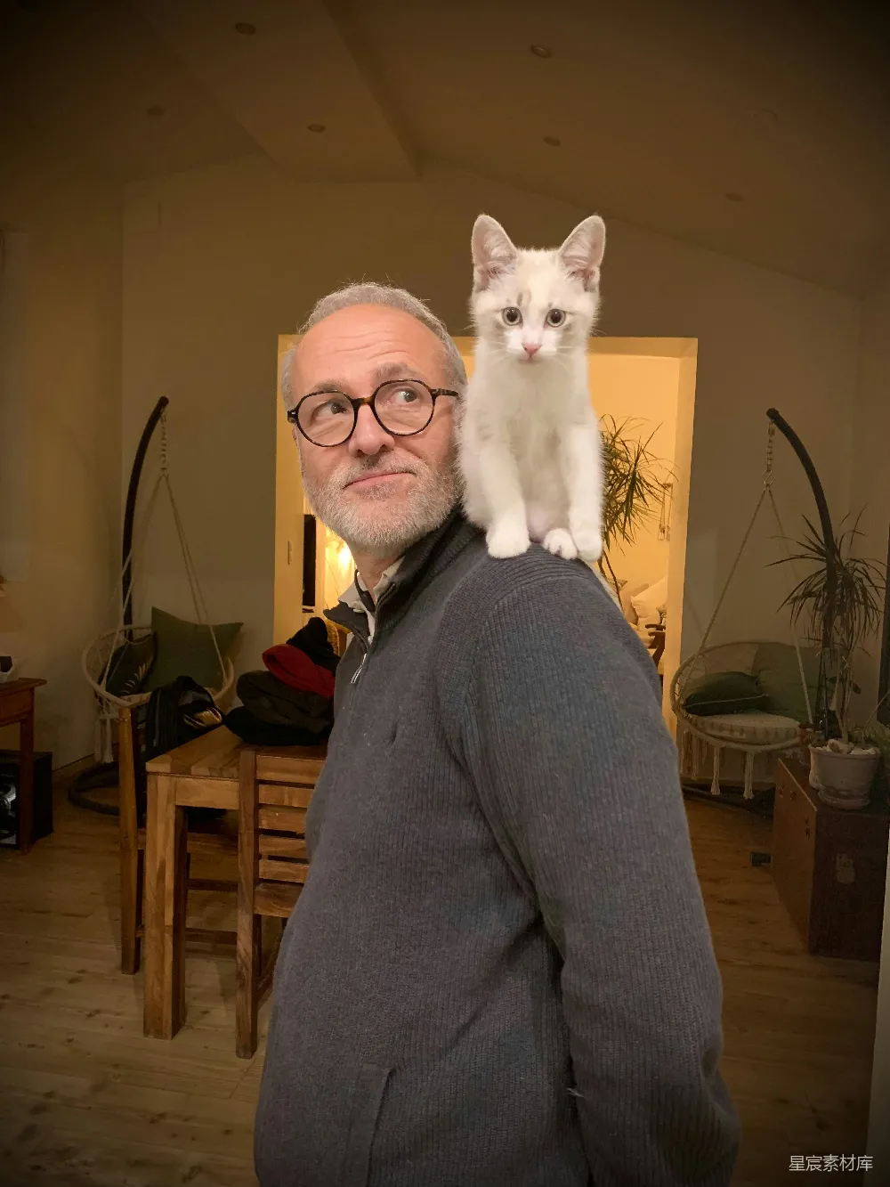 高清摄影  一只小猫坐在一个男人的肩膀上