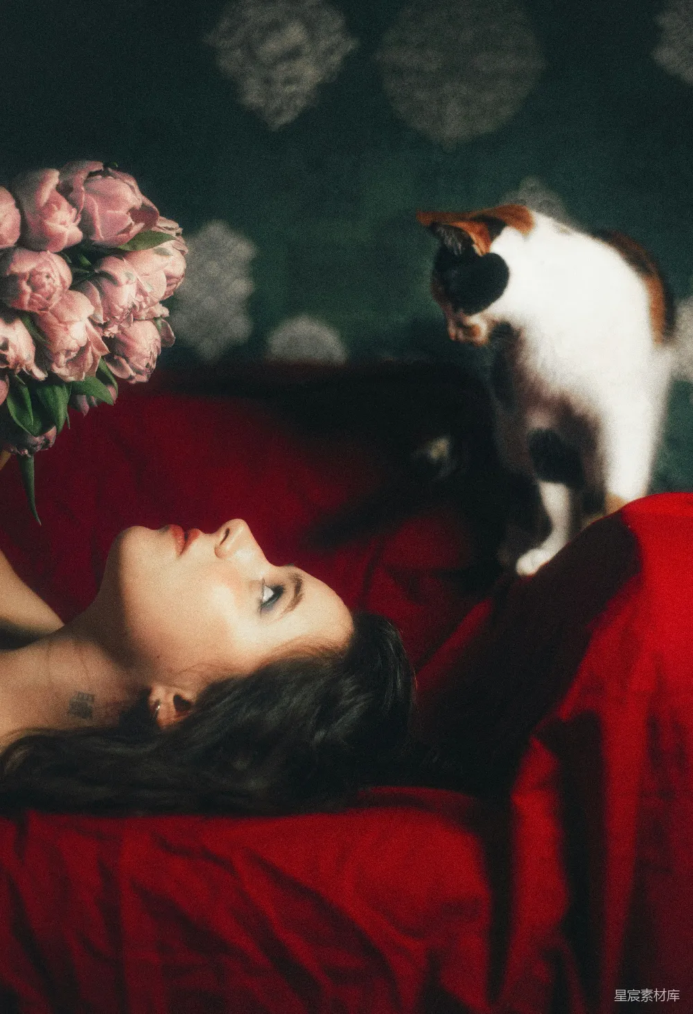 高清摄影 拿着花的女人看着红色沙发上的一只猫。