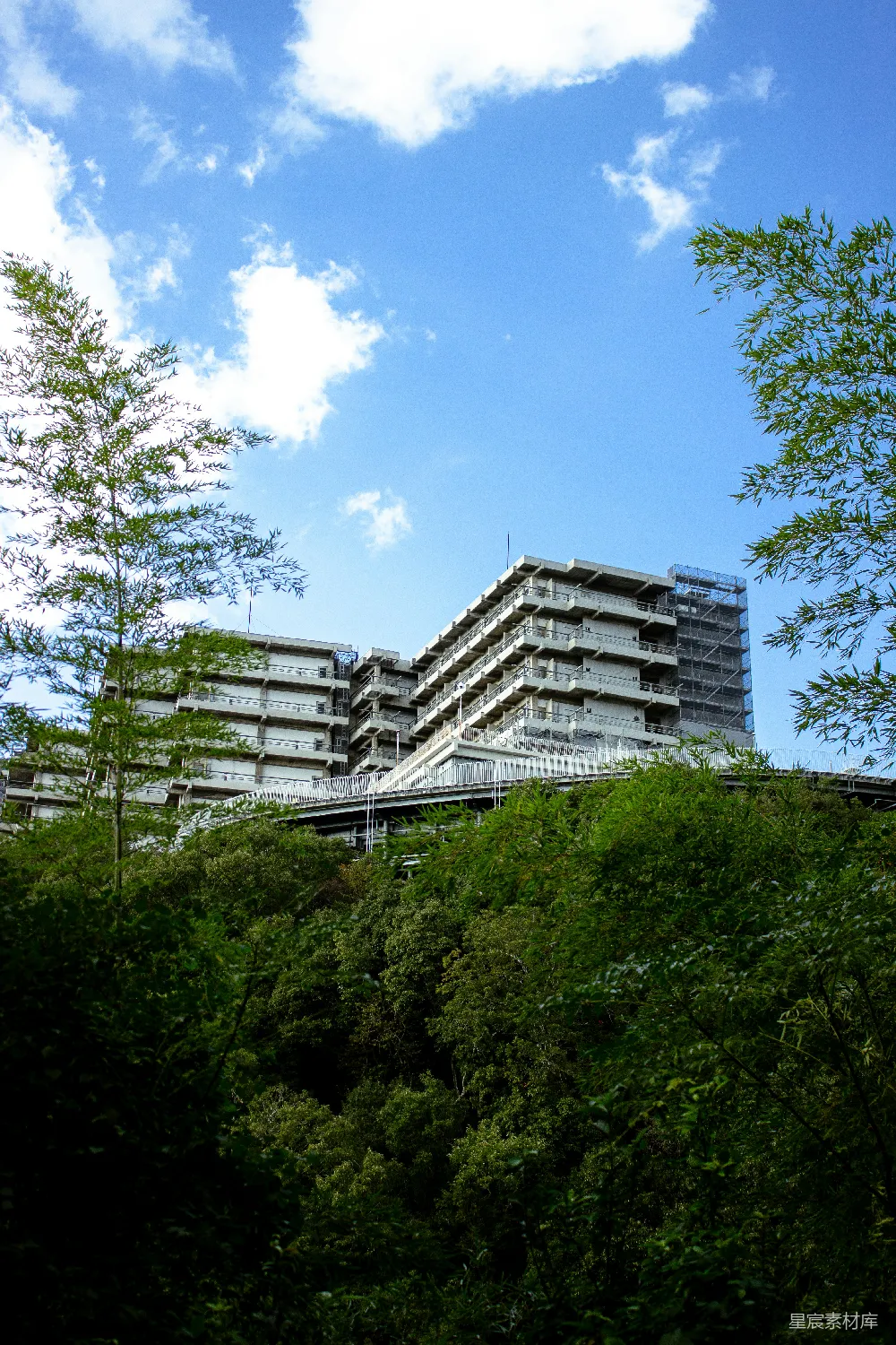 高清摄影  蓝天下的绿树后方是现代化的建筑。