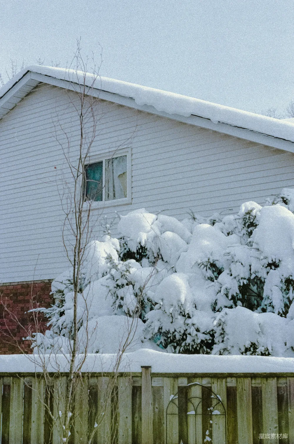 高清摄影 电影 冬天，覆盖着积雪的灌木和房屋。