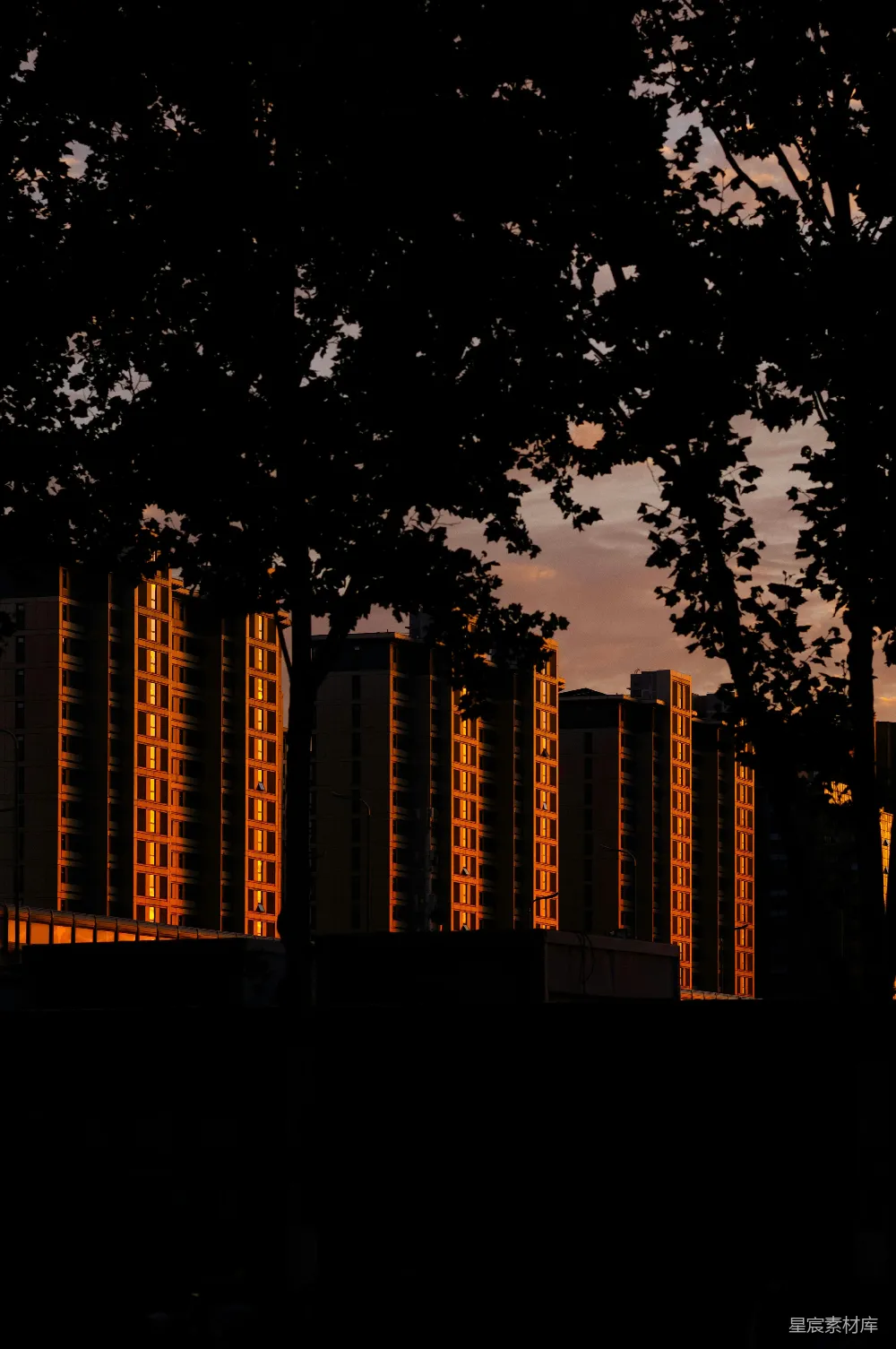 高清摄影 夕阳的金色光辉映照在被暗树框住的建筑物上。