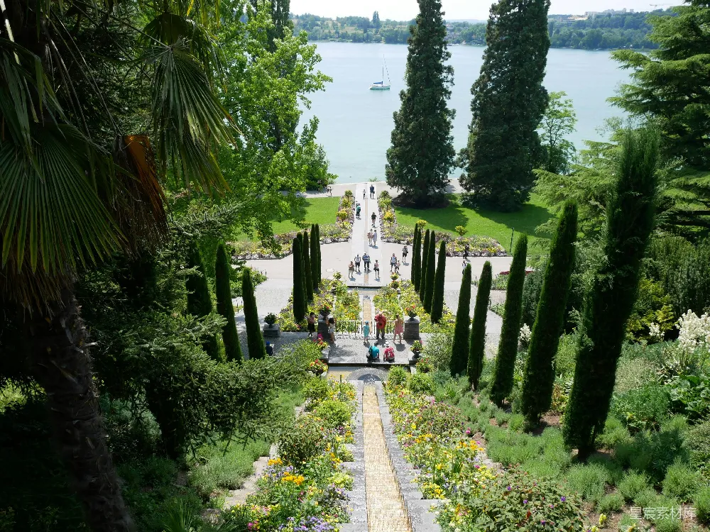 高清摄影 白天树木环绕的水域附近