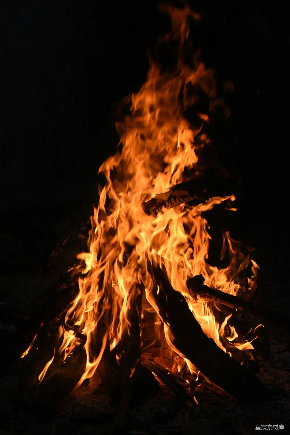 高清摄影  篝火在黑暗的夜晚明亮地照耀着。