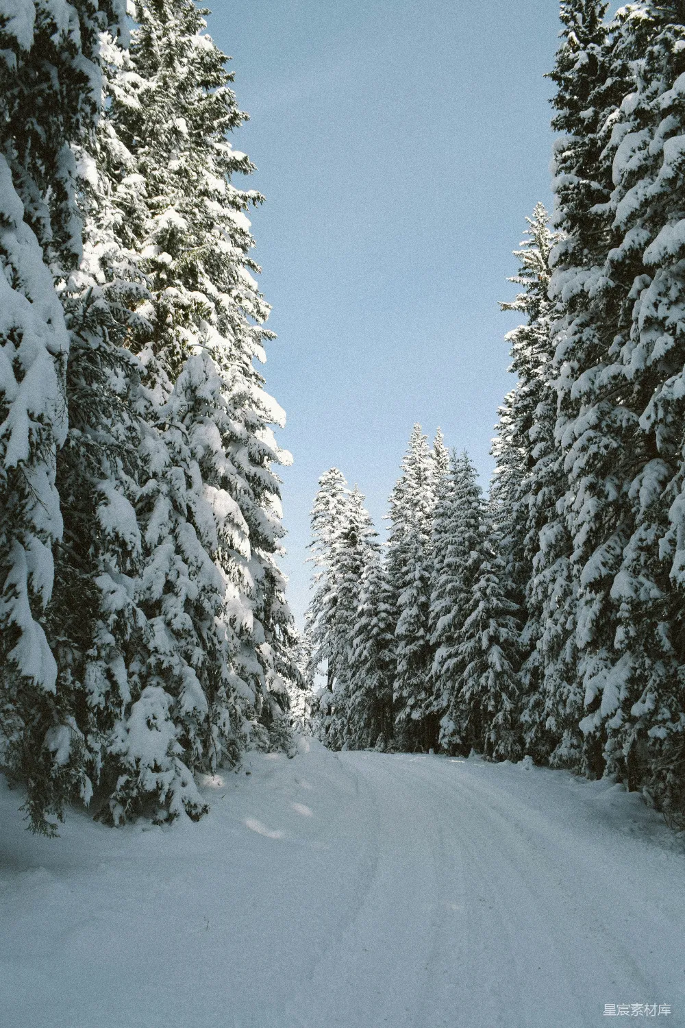 一个人在雪覆盖的道路上滑雪下滑