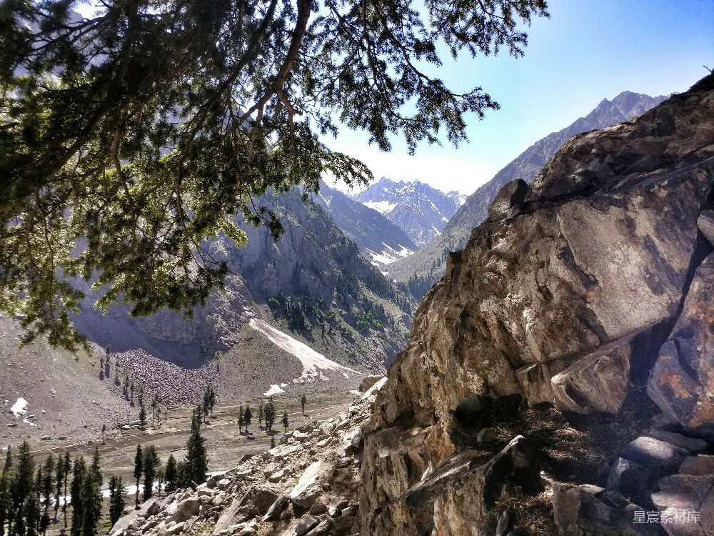 高清摄影  白天岩石山上的绿树
