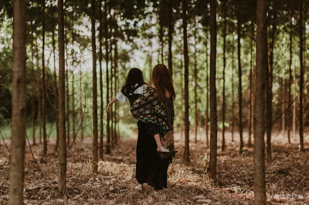 高清摄影  一个女人在森林中抱着一个孩子