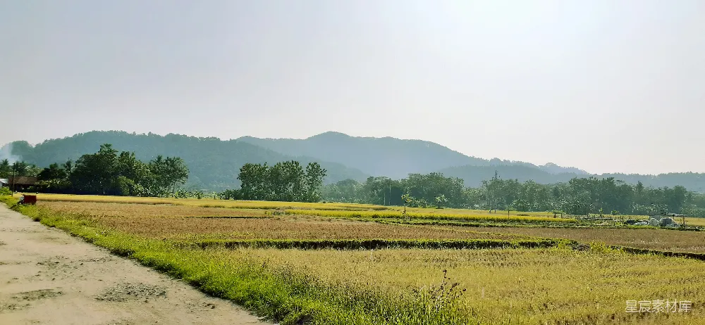 高清摄影 山脚下白天的绿色草地附近
