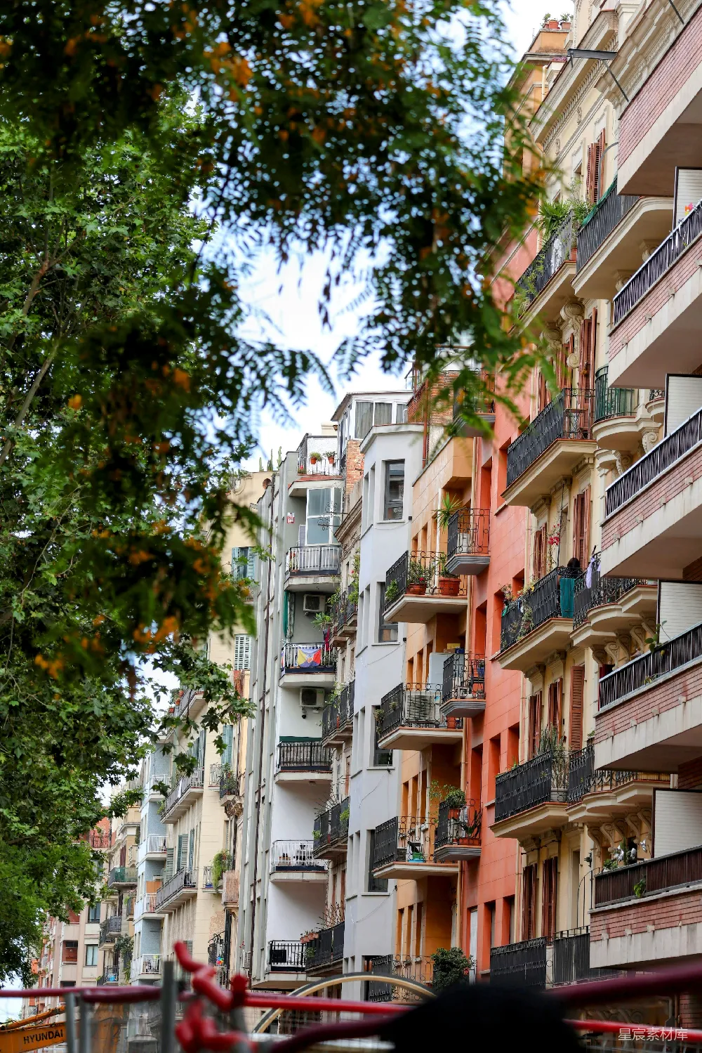 色彩斑斓的住宅建筑被绿树环绕。