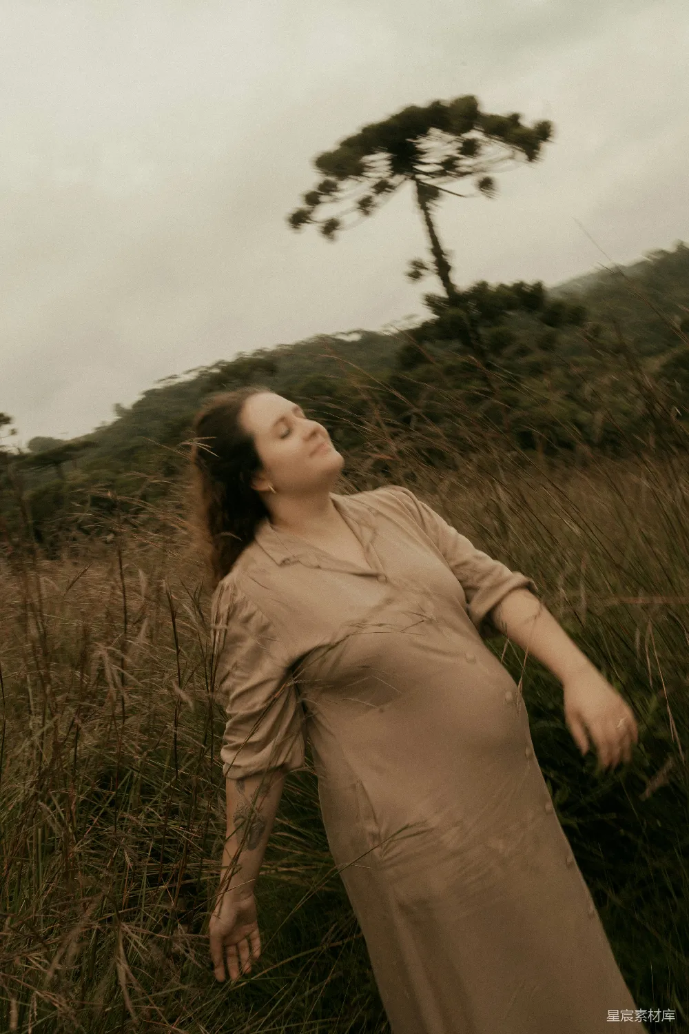高清摄影  在一个女人怀抱着树的女人站在田野里。