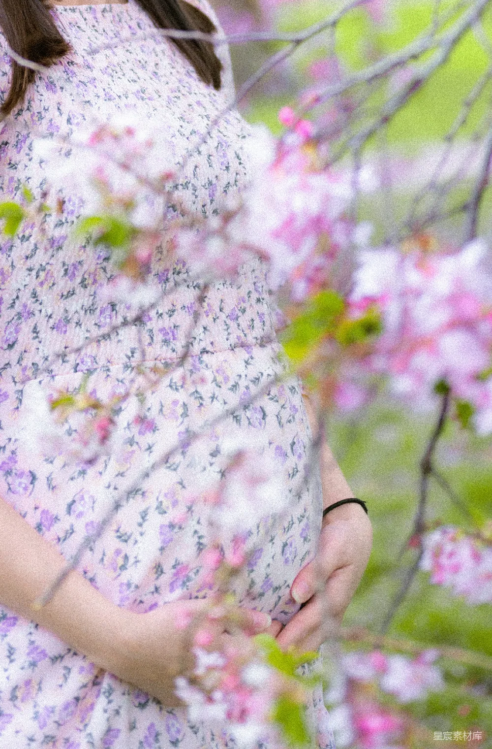 高清摄影  一位孕妇站在花田里