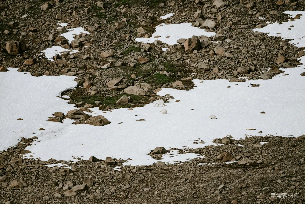 高清摄影  积雪覆盖的地面，散落着岩石和一个滑雪板。