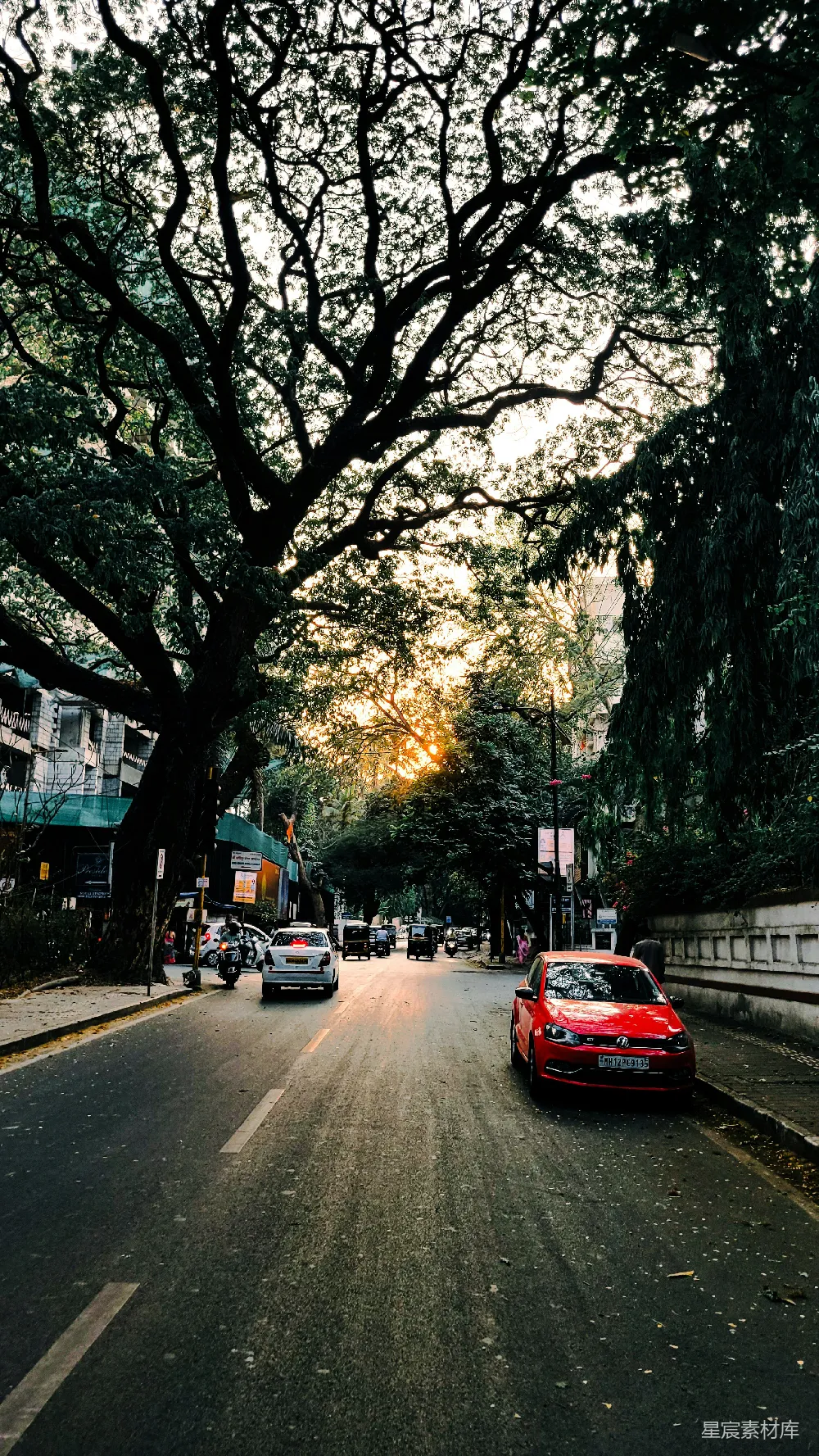 高清摄影  一辆红色的汽车沿着街道行驶，两旁是高大的树木。