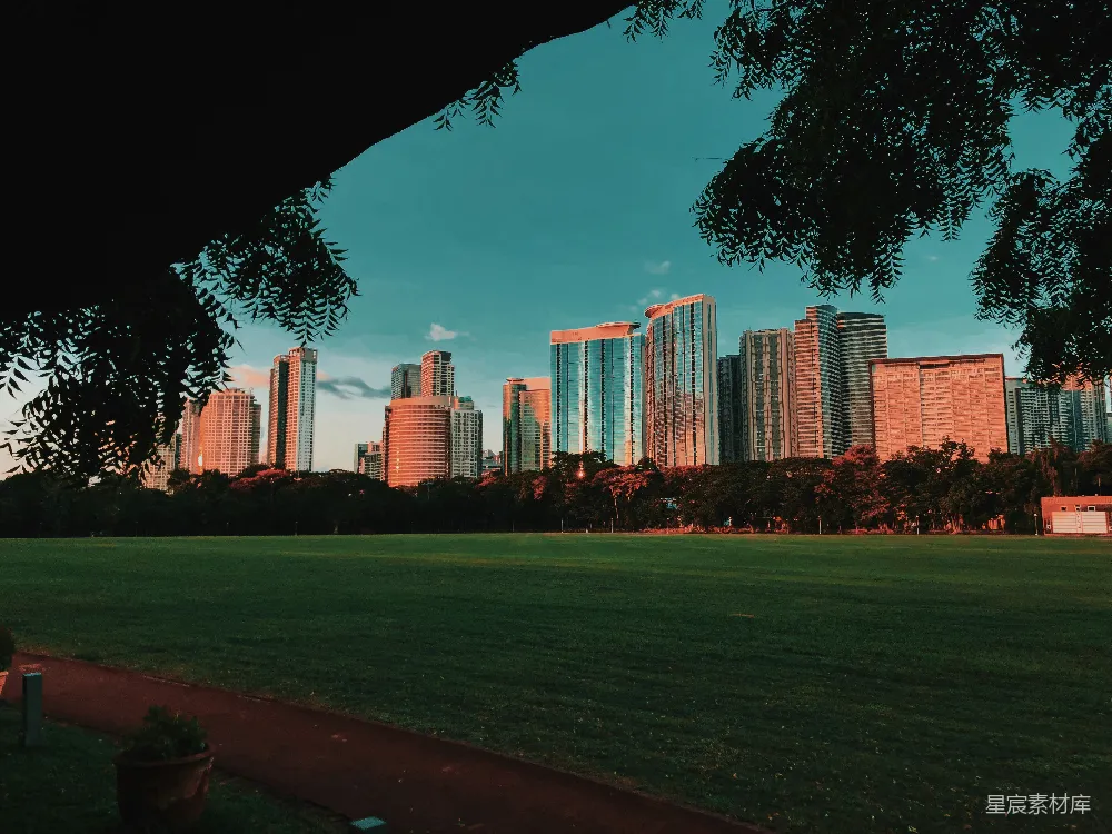 高清摄影  白天城市建筑附近的绿草地