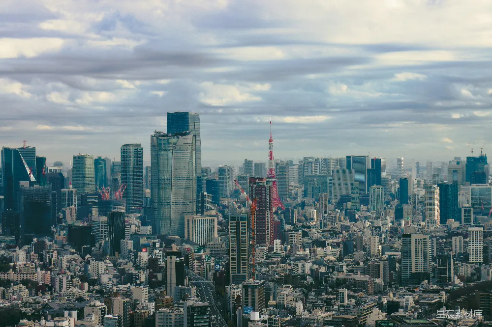 高清摄影 壁纸 一幅大城市全景图，高楼林立。