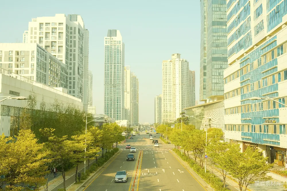 高清摄影  一条两旁是高楼和树木的城市街道