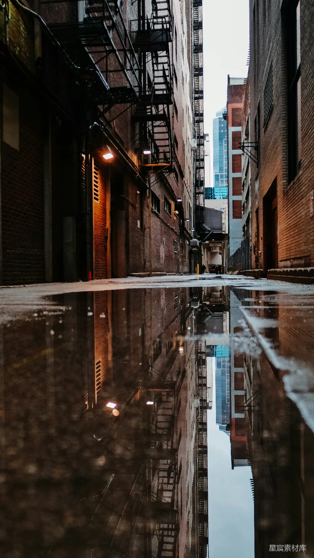 高清摄影  夜晚的棕色混凝土建筑