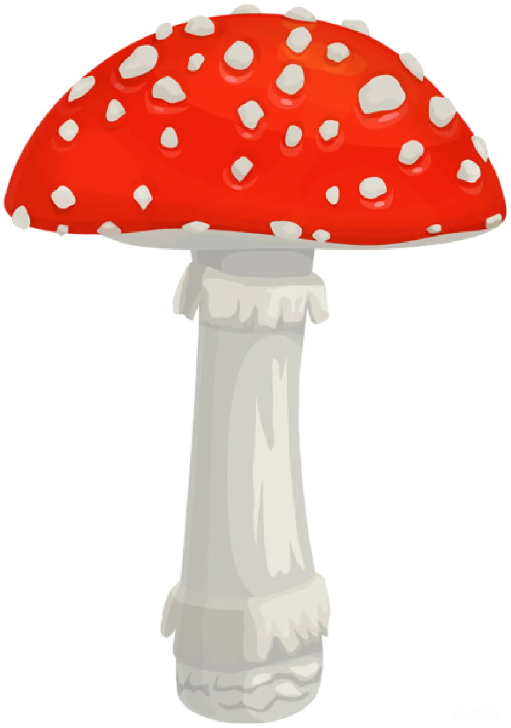 毒伞菌