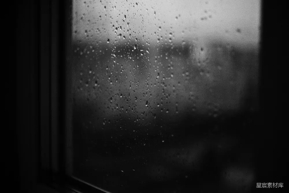 高清摄影  黑白照片中的雨滴落在窗户上