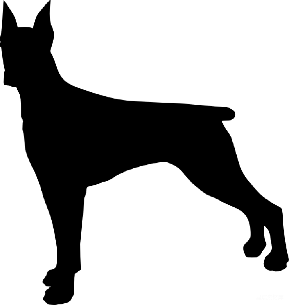多比曼诺尔