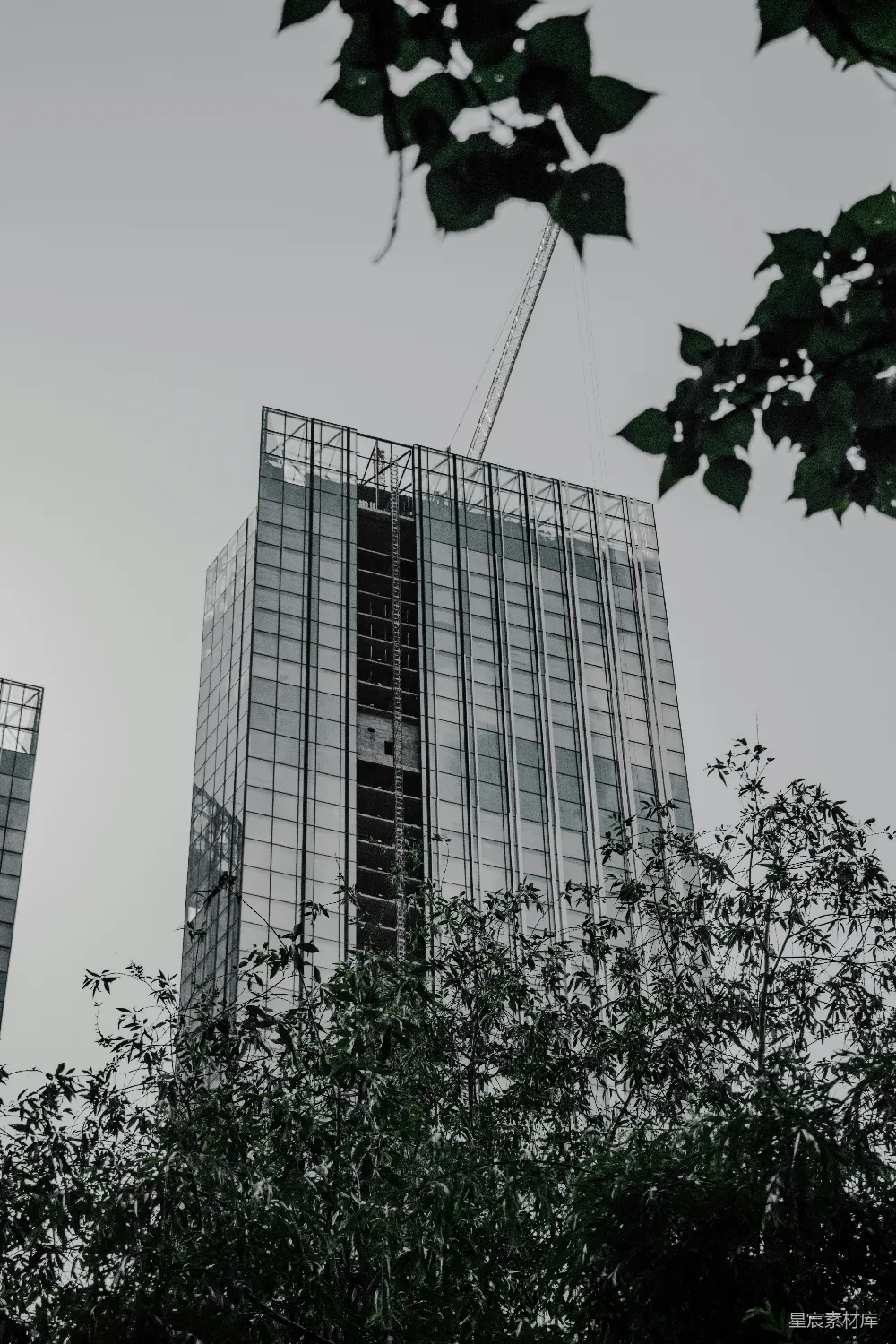 高清摄影 自然 壁纸 黑白照片中的高层建筑