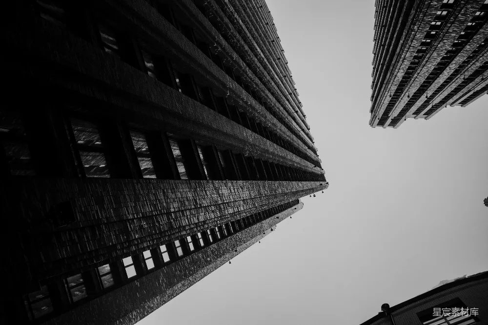 高清摄影 电影 壁纸 一张黑白照片，展示了两座高大的建筑物。