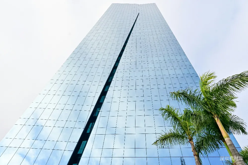 高清摄影  一座高大的玻璃建筑，前面有棕榈树。