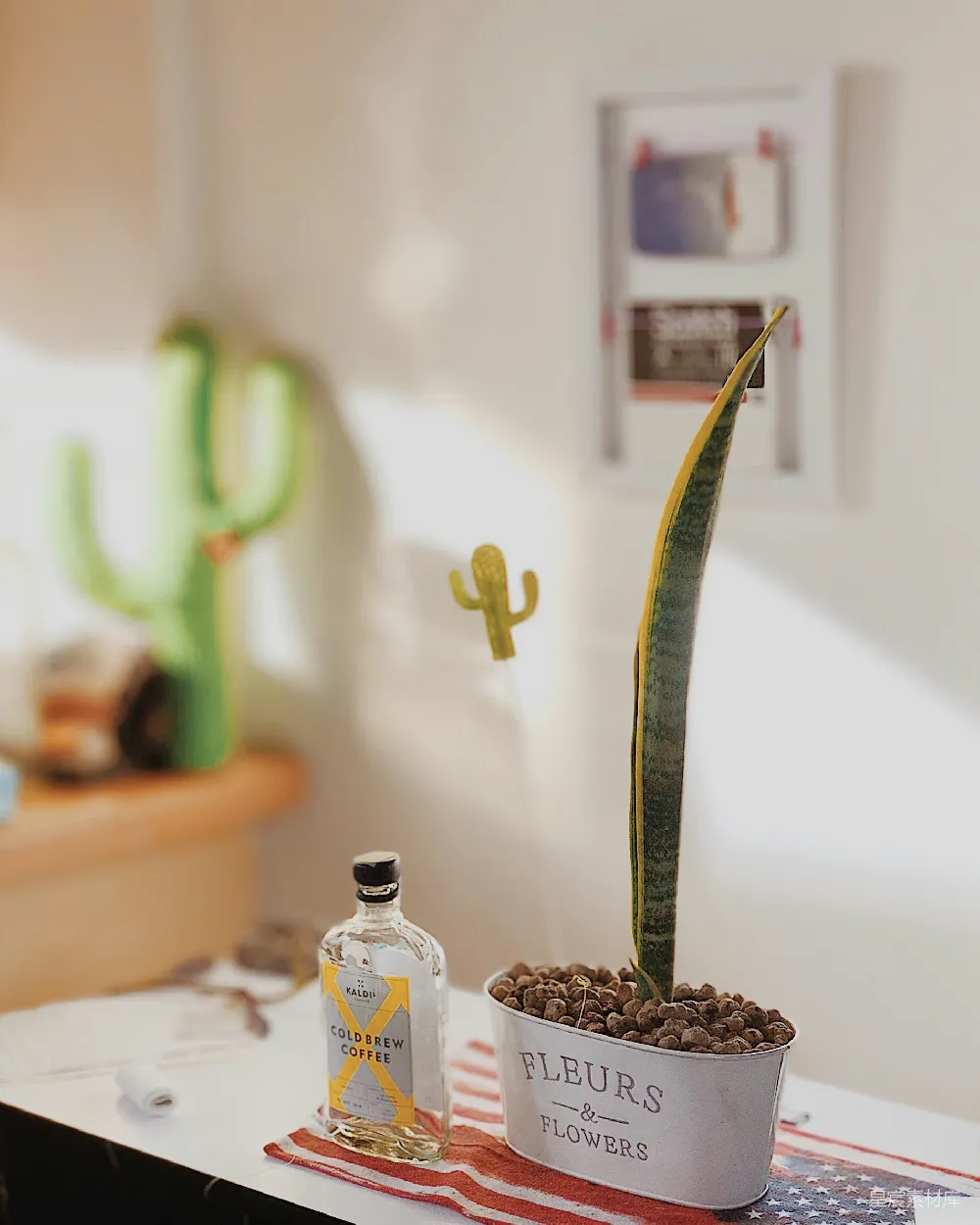 绿色植物在白色容器中的近景摄影