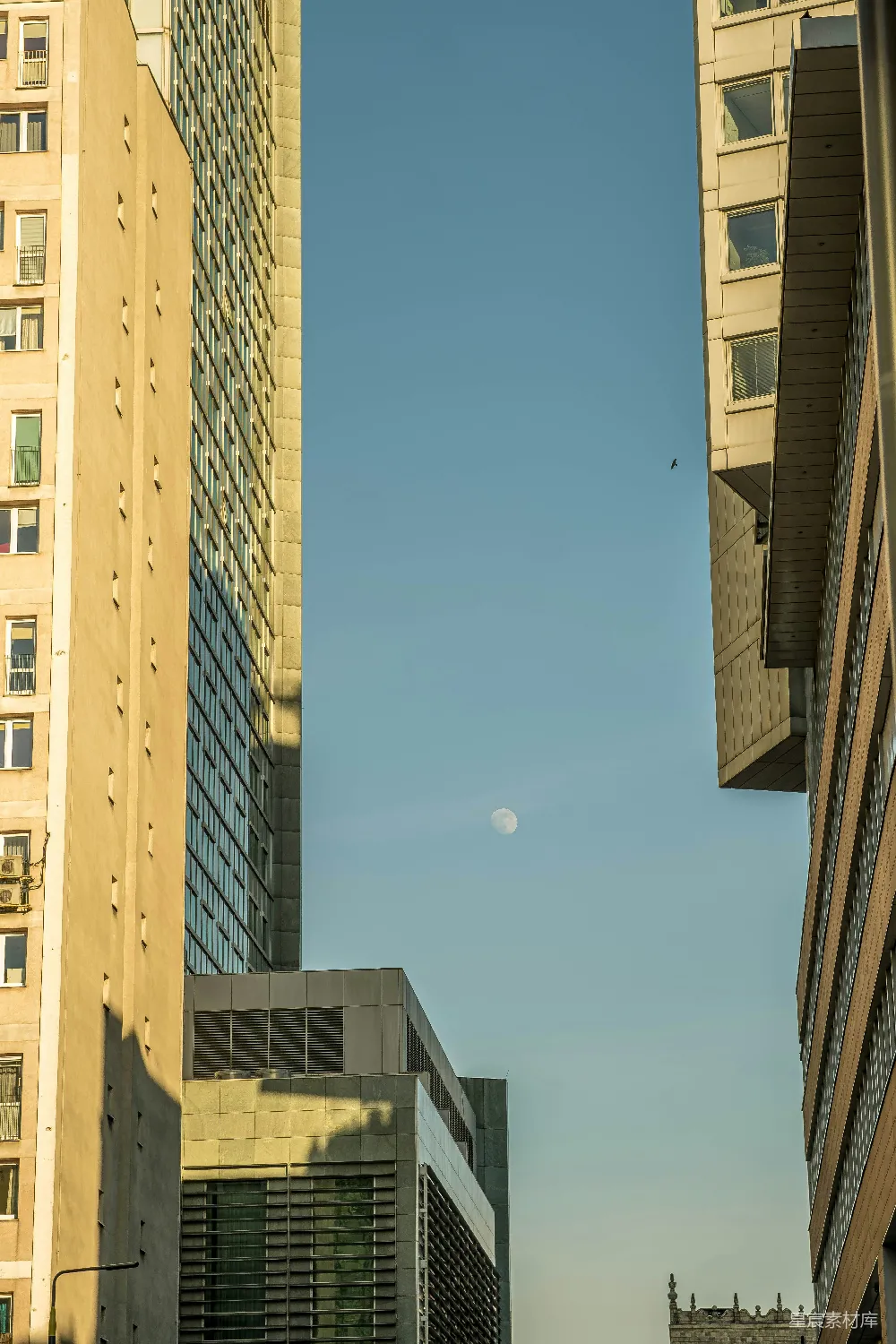 高清摄影  一幅城市全景图，可以看到高大的建筑物。